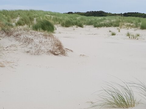 D&uuml;nenlandschaft auf Borkum 