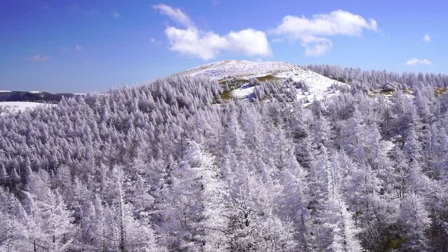 日本の長野県、美ヶ原の雪景色。