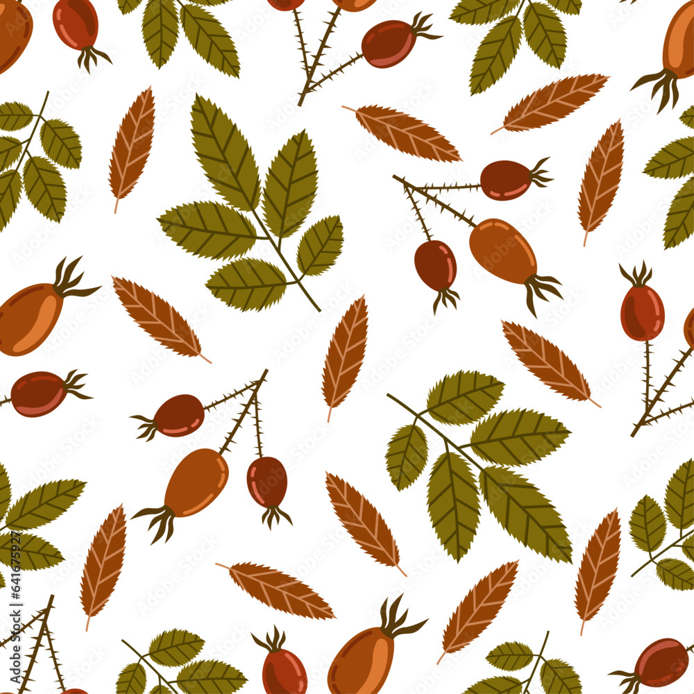 Wall mural pattern with red rosehip berries on a twig with leaves vector image