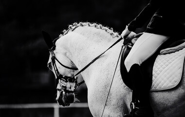 The black-white photo captures a white horse with a braided mane and a rider in a saddle as they...