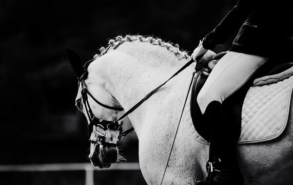 The black-white photo captures a white horse with a braided mane and a rider in a saddle as they compete in a dressage competition. The beauty of the horse and rider, as well as the competitive sport.