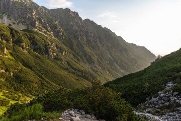 Fototapeta na wymiar Alpine trail in Tatra Mountains, Poland at summer. Scenic landscape and nature
