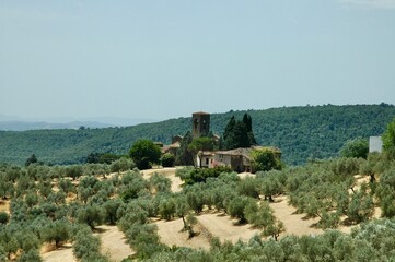 Fototapeta na wymiar Pieve in the hamlet of Artimino in Carmignano (Prato)