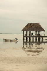 boat on the beach at sunset