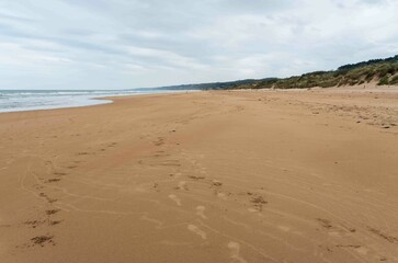 Omaha Beach Site of WWII D-Day Landing in France