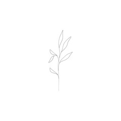 Minimalist linear flower branch. Small ornamental floral element, tiny fine line botanical leaves, tattoo sketch. Vector design