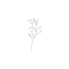 Minimalist linear flower branch. Small ornamental floral element, tiny fine line botanical leaves for tattoo sketch. Vector design