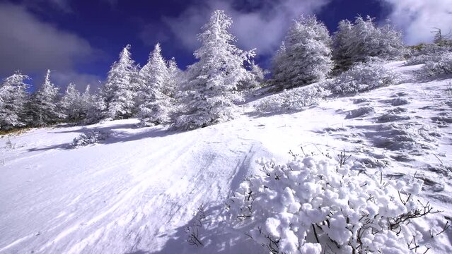 日本の長野県、美ヶ原の雪景色。