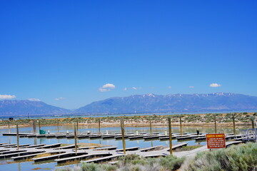 Fototapeta premium antelope island state park and the great salt lake in Utah 