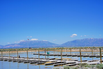 antelope island state park and the great salt lake in Utah