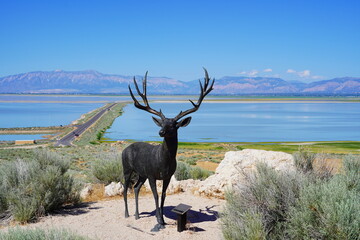 antelope island state park and the great salt lake in Utah	