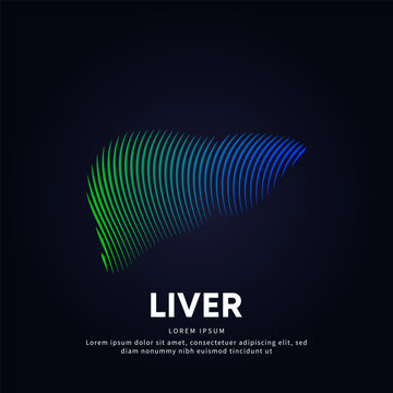 Human Liver Medical Structure. Creative Vector Logo Liver Color Silhouette On A Dark Background. EPS 10