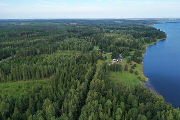 Fototapeta premium Forest, aerial views