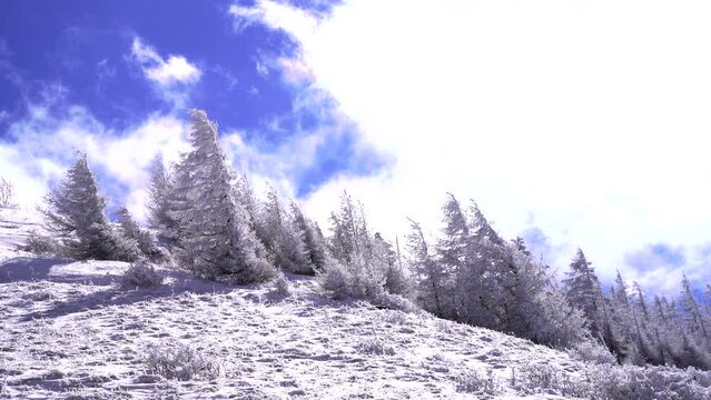 日本の長野県、美ヶ原の雪景色。