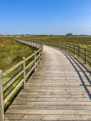 Fototapeta na wymiar Eco path wooden walkway, ecological trail path