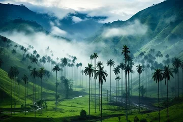 Foto op Canvas Cocora Valley in Colombia: Home of Quindio Wax Palm, South America's Exotic Cloud Forest and Countryside near Salento © AIGen