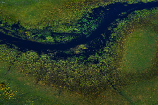 Africa aerial landscape, green river, Okavango delta in Botswana. Lakes and rivers, view from airplane. Forest. vegetation in South Africa. Trees with water in rainy wet season. Travel in Botswana. - Powered by Adobe
