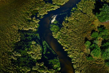 Africa aerial landscape, green river, Okavango delta in Botswana. Lakes and rivers, view from airplane. Forest. vegetation in South Africa. Trees with water in rainy wet season. Travel in Botswana. - obrazy, fototapety, plakaty