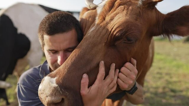 Man hugging a cow with love