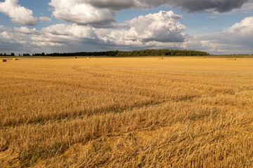 Drone photography of agriculture fields and square hale bales