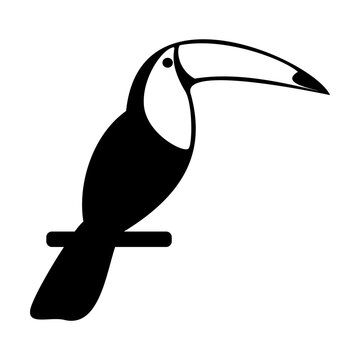 recommend clip art: Black silhouette of toucan isolated on white. Tropical exotic bird cartoon illustration. Birds concept. Simple black and white vector