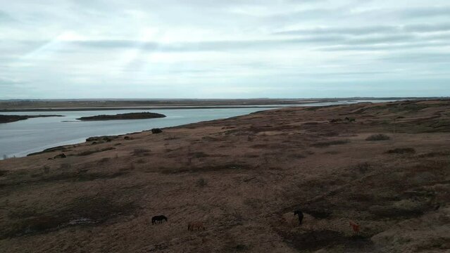 Dronen Aufnahme von Island 
