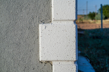Flying bugs on the detached family house wall in the garden