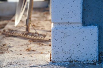 Flying bugs on the detached family house wall in the garden