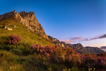 Foto op Canvas View of Table Mountain from Kloof Corner hike at sunset in Cape Town, western Cape, South Africa © pierrick