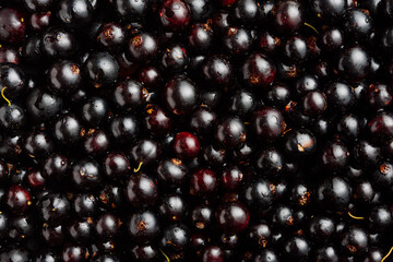 Fresh blackcurrant berries close-up, background.
