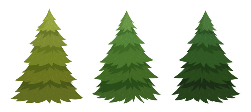 Fur tree set. Cartoon Christmas undecorated spruce trees. Xmas holidays flat vector illustration collection. Christmas green fur trees