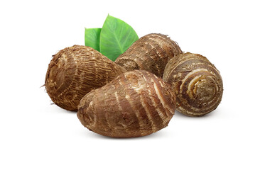 里芋 イラスト リアル