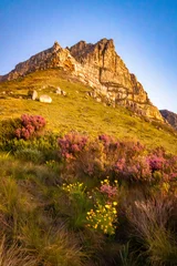Foto op Canvas View of Table Mountain from Kloof Corner hike at sunset in Cape Town, western Cape, South Africa © pierrick