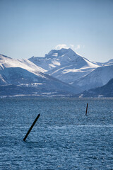 Obraz premium View towards the Sunnmøre Alps on Godøy, Ålesund, Norway