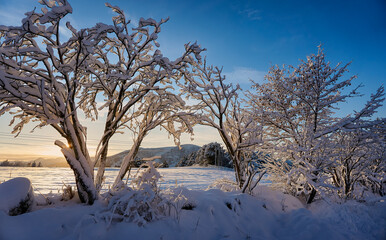 Winter landscape on God&oslash;y, &Aring;lesund, Norway