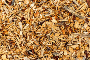 Texture legno