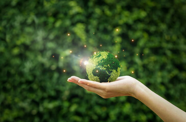 Hand holding a green earth with light reflection, flare light on natural background for global development, friendly globe day, environmental management, energy or business concept.Banner copy space.
