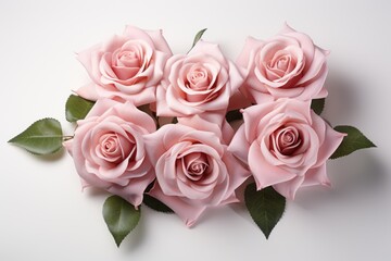 bouquet of pink roses on a white background