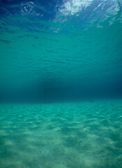 Fototapeta na wymiar the crystal clear waters of the caribbean sea in the summer