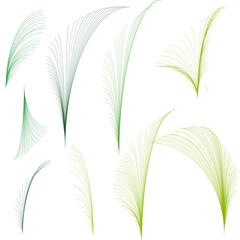 green grass background