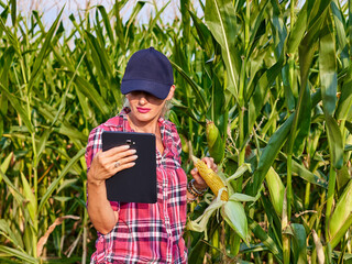 Pretty farmer girl standing in corn field. Portrait of pretty woman using tablet in agriculture