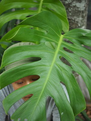 Obraz premium gardenner with colorfull plants in hand and green garden backgrouns happy smile 