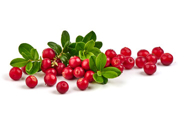 Fresh wild lingonberry berries with leaves, isolated on white background.