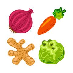vegetable objects vector illustrations set