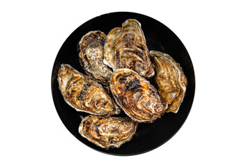 fresh oyster in shell clam oysters seafood fruit de mer ready to eat meal food snack on the table copy space food background rustic top view