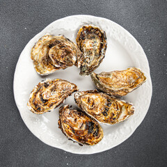 fresh oyster in shell clam oysters seafood fruit de mer ready to eat meal food snack on the table copy space food background rustic top view