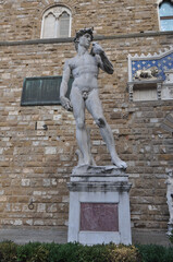 Naklejka premium David statue by Michelangelo in Florence