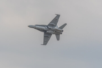 McDonnell Douglas F/A-18 Hornet