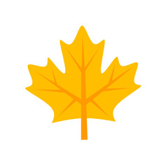 maple leaf vector with trendy design.maple icon