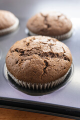 chocolate muffins on a dark background. food concept. dessert. bakery. diet